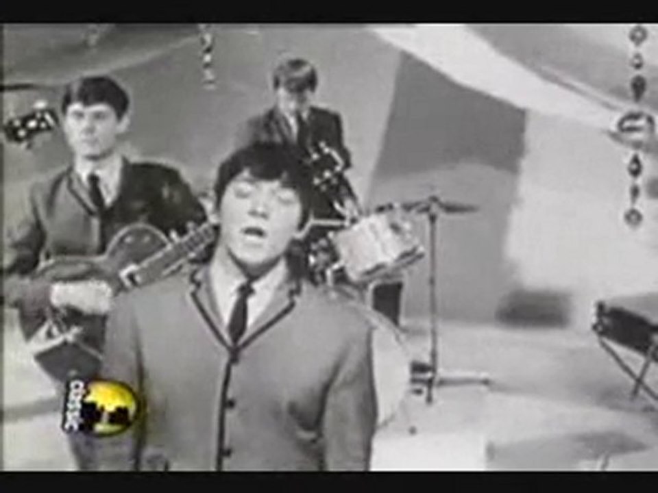 The Animals Don't Let Me Be Misunderstood 1965