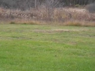 Homes for Sale - 0  Washington - Horicon, WI 53032 - Coldwel