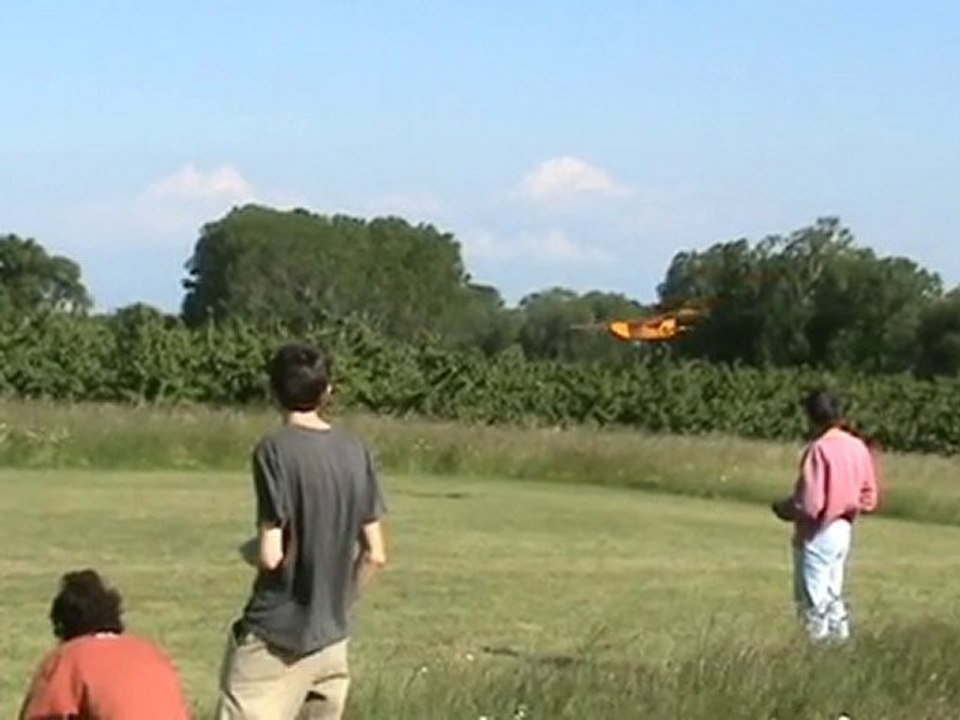 T-rex 600 + maxi baron