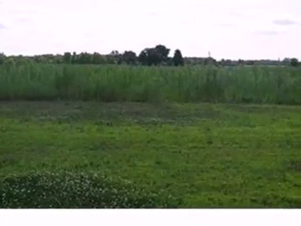 Homes for Sale - 0 Meadow Ln - Wheatfield, IN 46392 - Coldwe