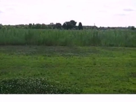 Homes for Sale - 0 Meadow Ln - Wheatfield, IN 46392 - Coldwe