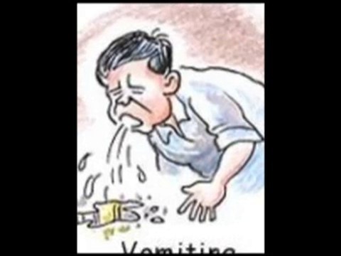 Toxic Mold Removal Wabasso