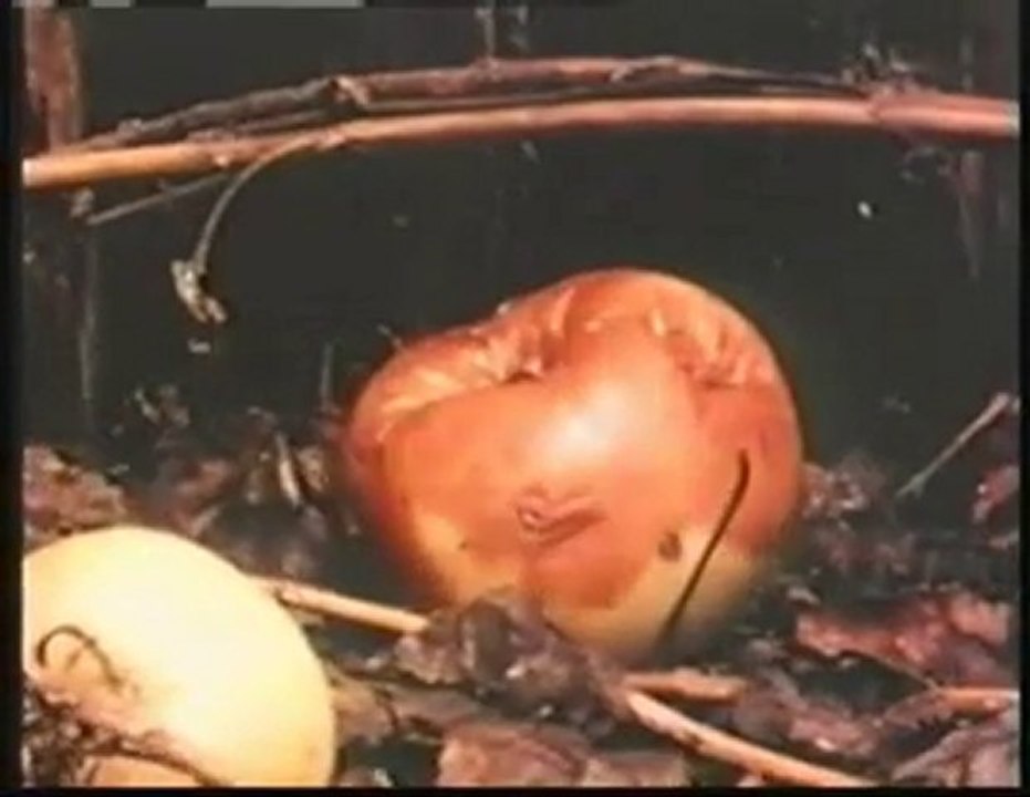 BEŞİKTEN MEZARA-UĞUR IŞILAK