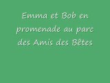 Bob du refuge des Amis des Bêtes Aix les bains