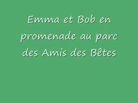 Bob du refuge des Amis des Bêtes Aix les bains