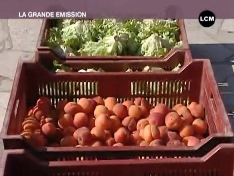 Tendances : Les paniers bio ont la côté !