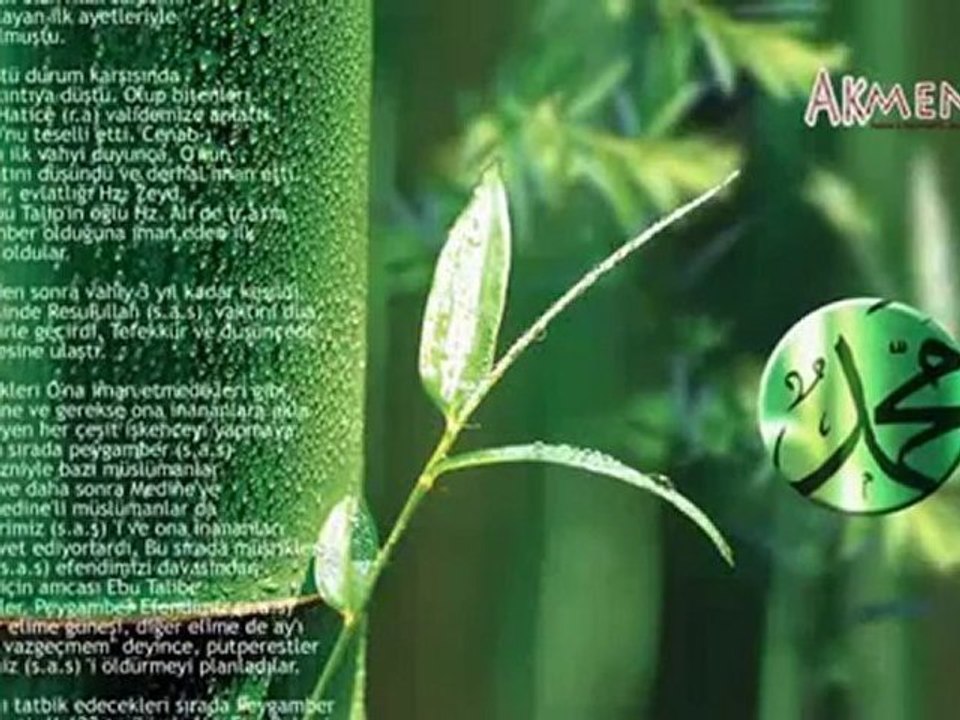 Peygamber (sav) Efendimiz'in Hayatı