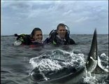 Open Water (2003) Part 1/18