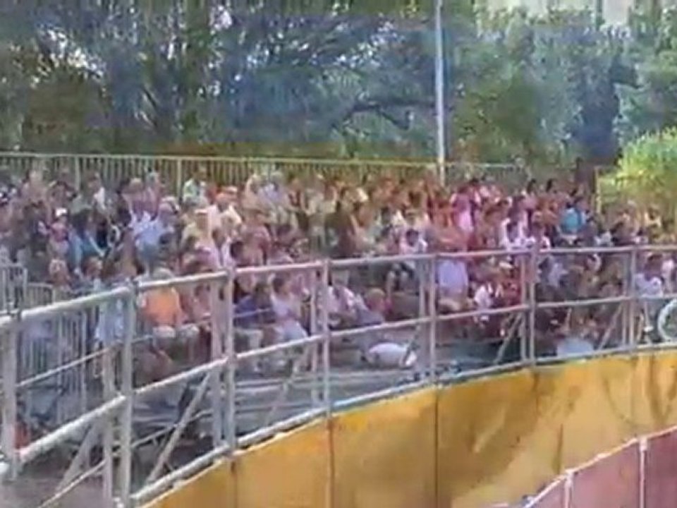 La Fête des Bords de Loire : 2,3 et 4 juillet 2010