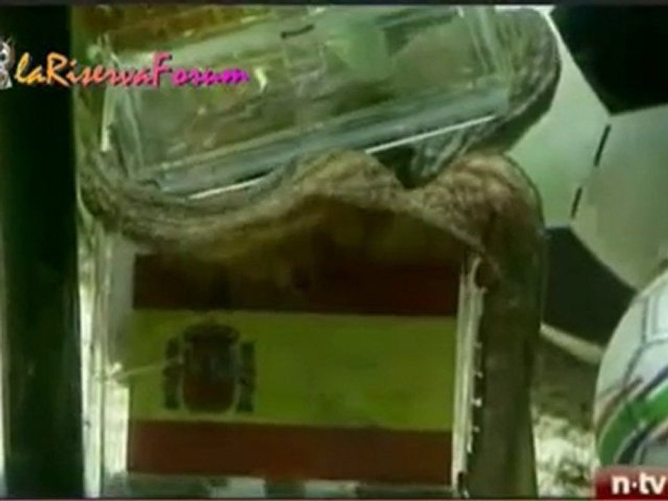 Mondiali, Spagna campione del mondo