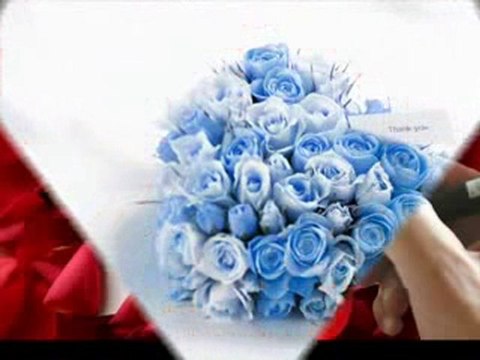 Ankaralı namık - 2010 - sevgiler çiçek gibi