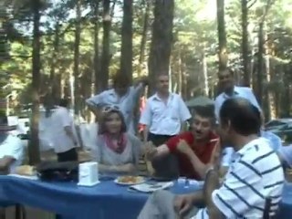 şebinkarahisar kozluca köyü tablo satımı