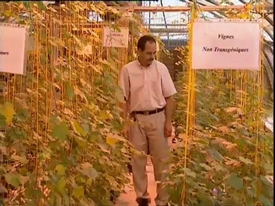 La Tunisie et les défis de l'agriculture