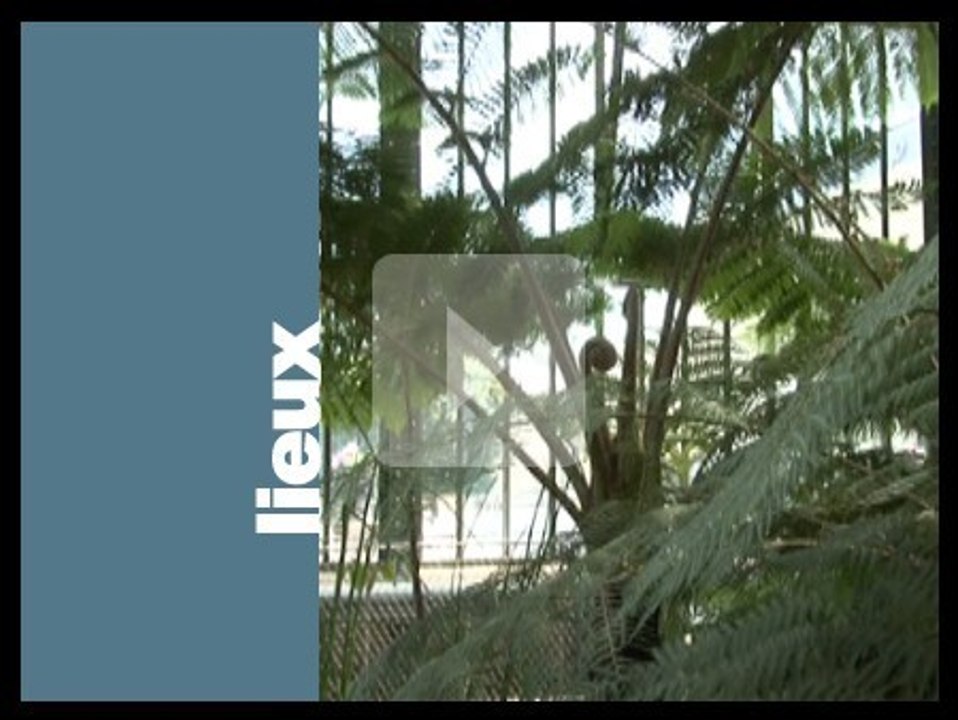 LES SERRES TROPICALES DU JARDIN DES PLANTES