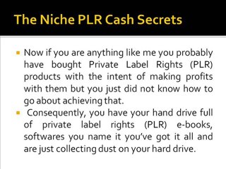 Niche PLR Cash Secrets - Explosive New Workshop