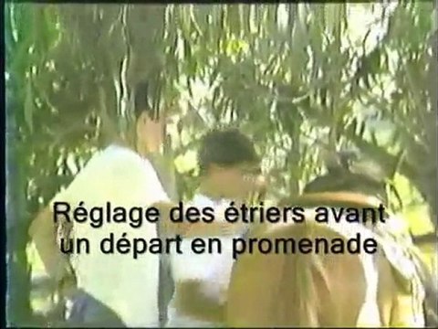 Equitation western à CALIFORNIA RANCH, Corse