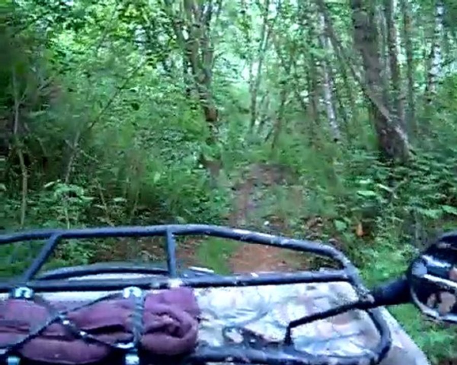 kawasaki Brute force 4x4 quad