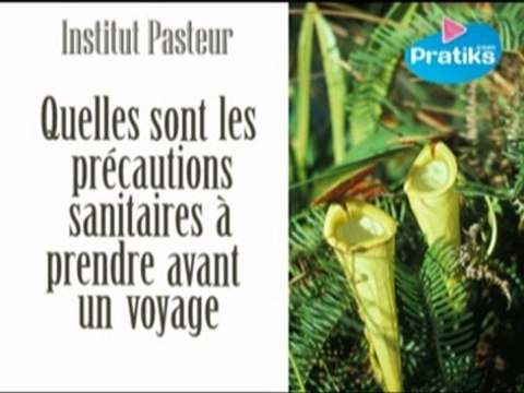 Précautions sanitaires à prendre avant un voyage