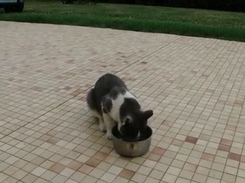 Le repas de Poupi