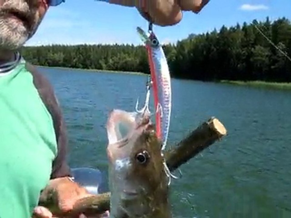 SUDAK SIRTI  09.07.2010 004