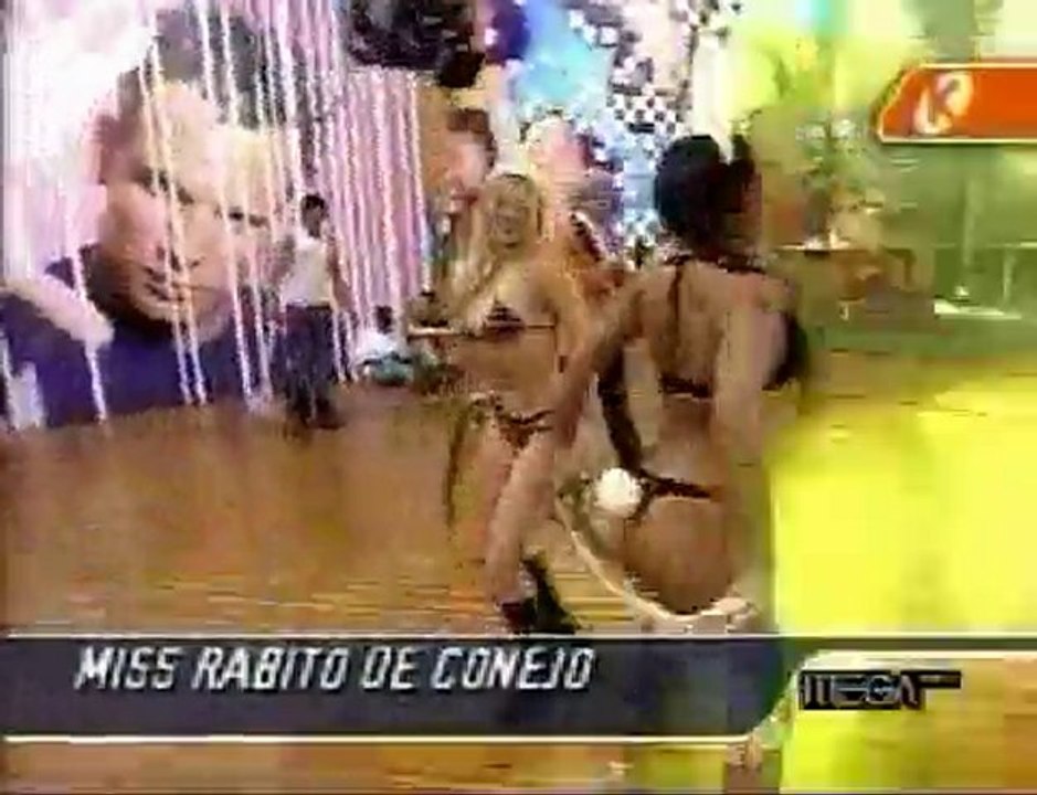 mekano miss rabito de conejo