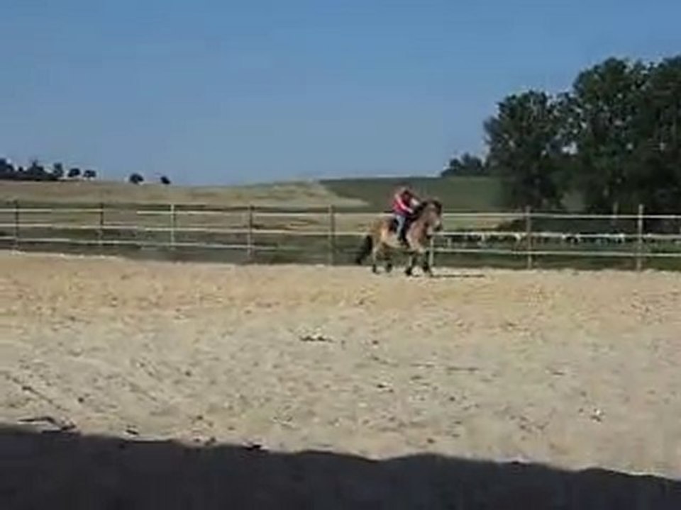 débourrage d'ugo ^^