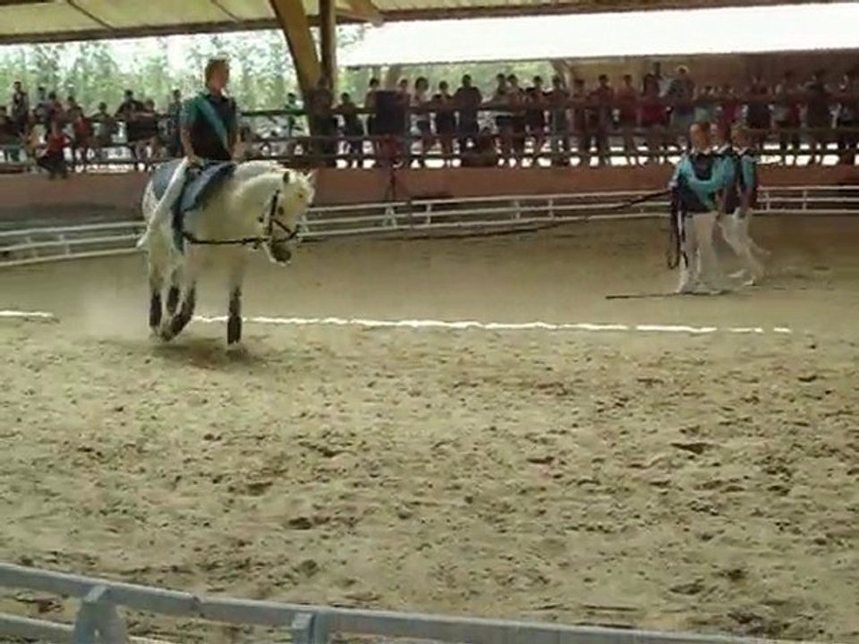 Voltige Mozart l'Opéra Rock Lamotte Beuvron 2010
