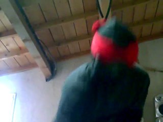 tmnt rabbit nunchaku master vs michealangelo