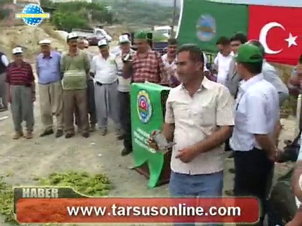 www.tarsusonline.com Köylüler çıldırdı üzümleri yolara saçtı