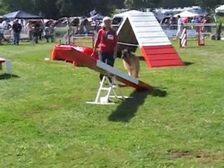 Annonay Agility 1