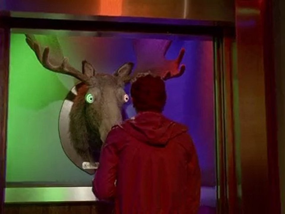 NEW MAYNARDS TV ADVERT - MAYNARD SAYS CHEW!