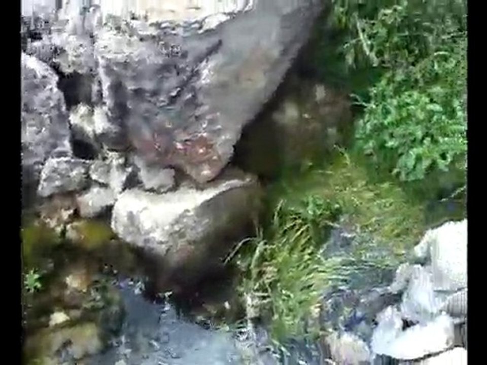 ÇAMBAŞI KÖYÜ YEŞİLİ ALTINDA SULAK ARAZİ VE BİZ