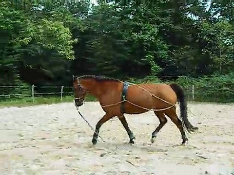 nozgwenn longe le 15-07-2010 (2)