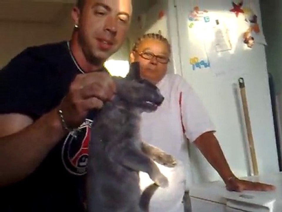 tinette sous Hypnose