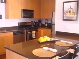 Homes for Sale - 1075 W Roosevelt Rd Unit 408 - Chicago, IL