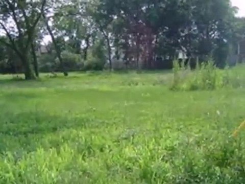 Homes for Sale - 823 W Wood St - Palatine, IL 60067 - Coldwe