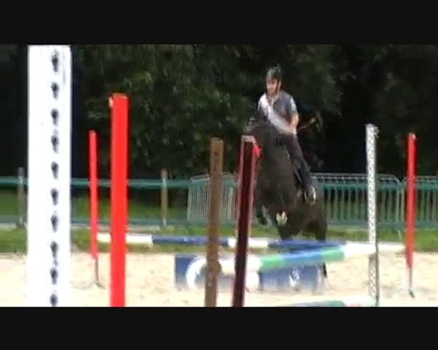 Mickaël & Napo obstacles