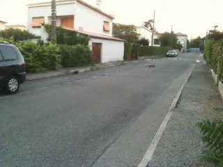 LSP BL Aeolian 150A Brushless Test 🚗