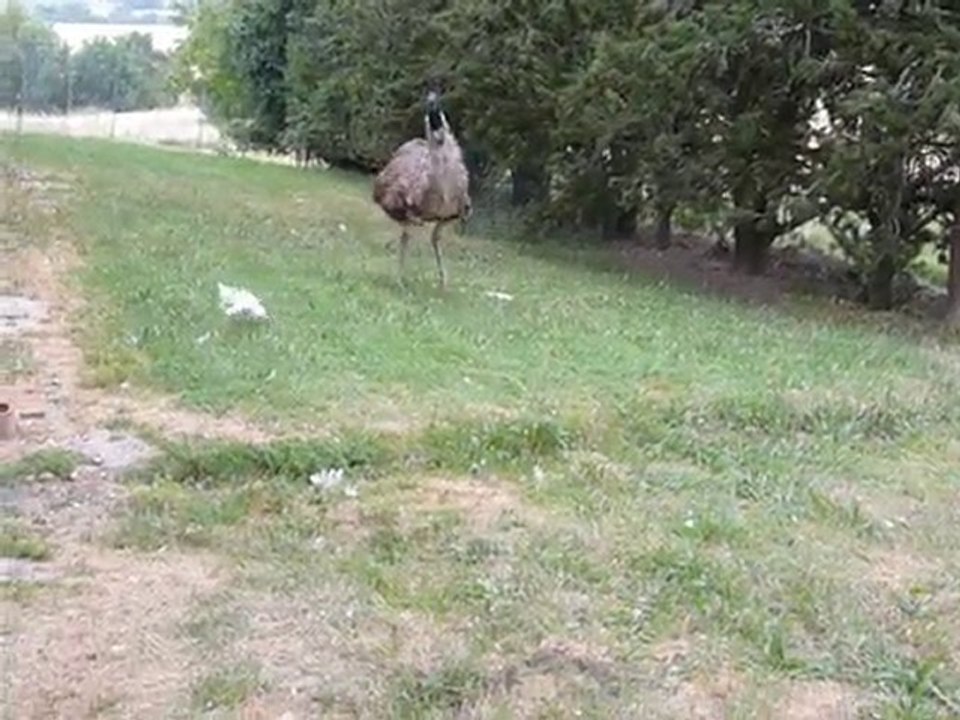 La traque 2ème épisode