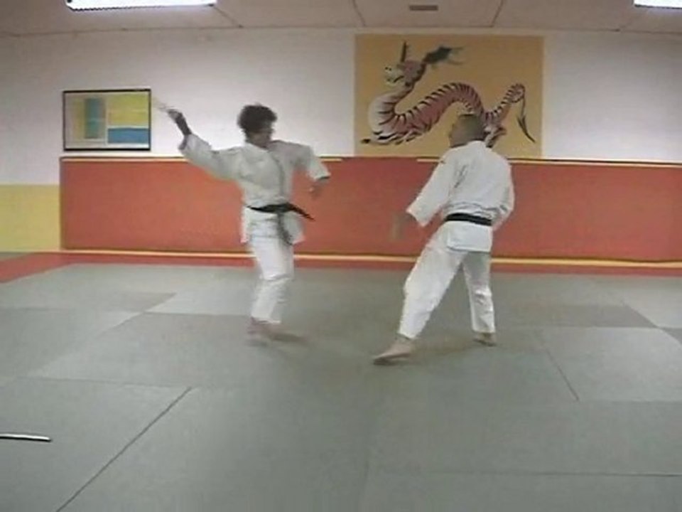 20 attaques imposées jujitsu série D
