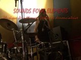 SOUNDS FOUR ELEMENTS, Musik de métissage, festive et ...