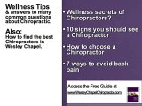 Wesley Chapel Chiropractor Chiropractic