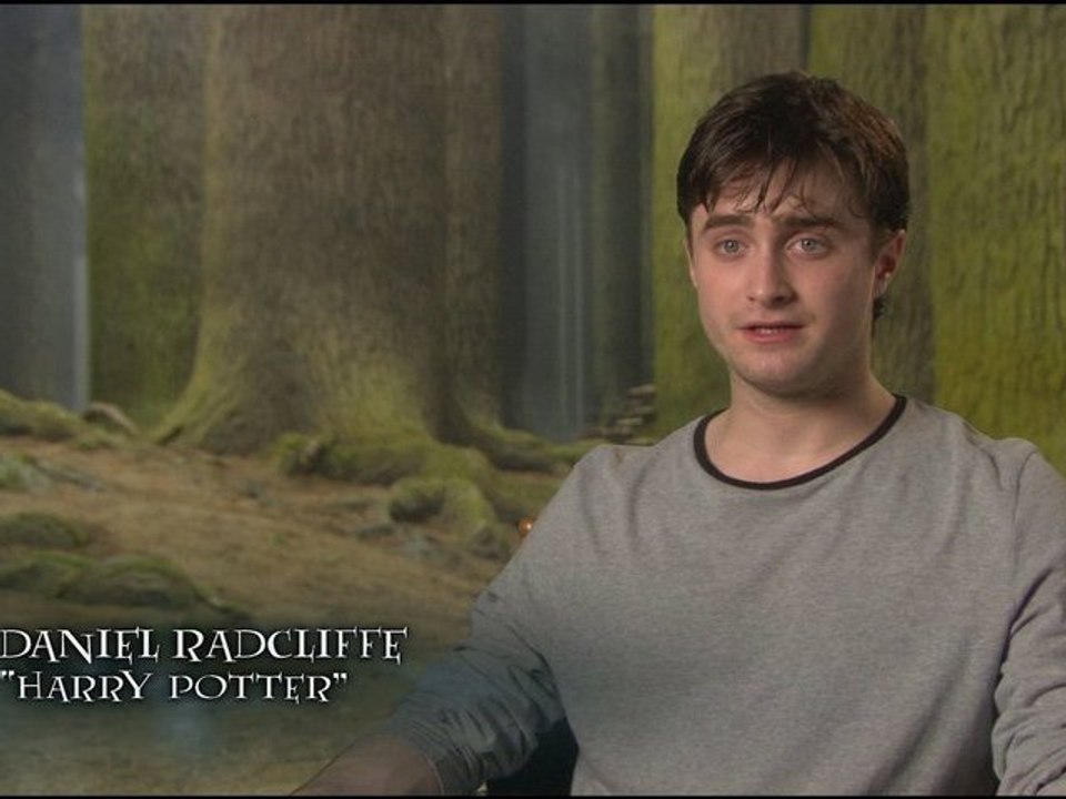 ABC Family ' The Story' Harry Potter and the Deathly Hallows