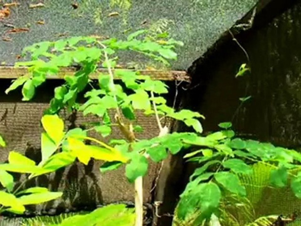 SERENA BEACH HOTEL AND SPA Serena Beach Mombasa