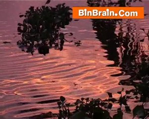 Sun set in Kumarakom