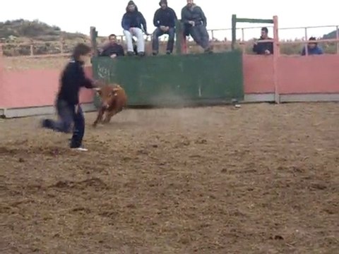 (Despedidas de soltero) en Logroño. Capea