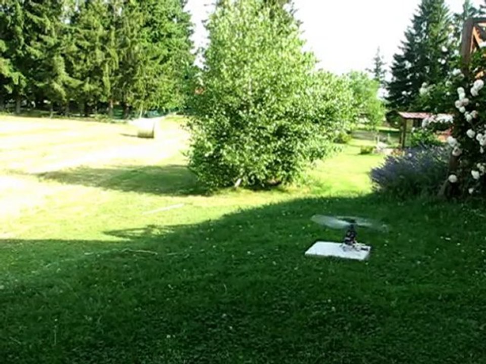 Honey bee king Pales