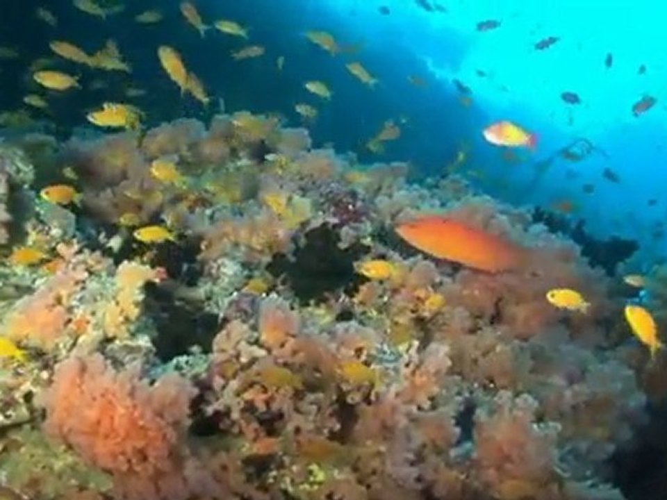 Fihalhohi Island Resort Maldives, Maldives Hotels