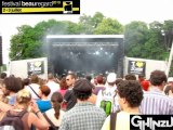 Beauregard  2010 / Ghinzu