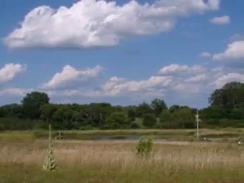 Homes for Sale - Lot 21 Fairway Drive - Twin Lakes, WI 53181